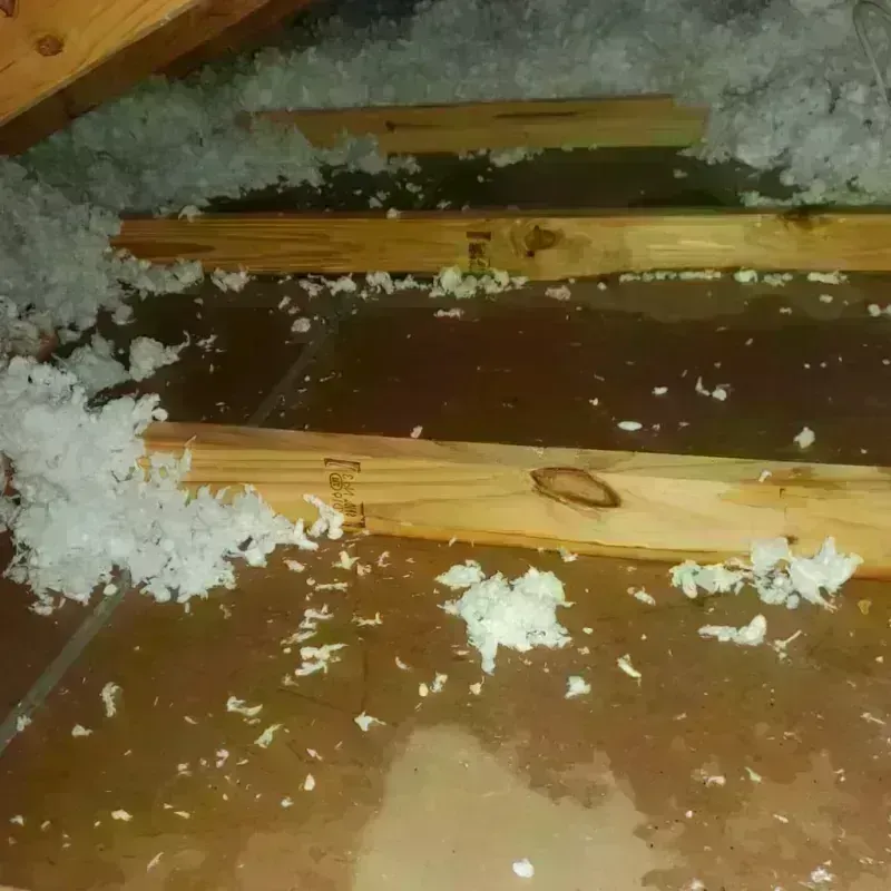 Attic Water Damage in Trinity, AL