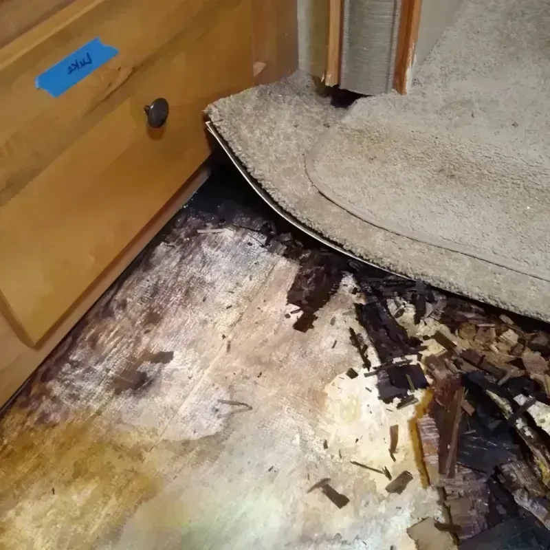 Wood Floor Water Damage in Trinity, AL